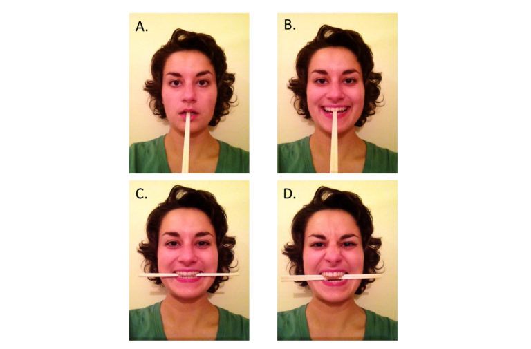 New-Figure-1-FACES-768x505.jpg